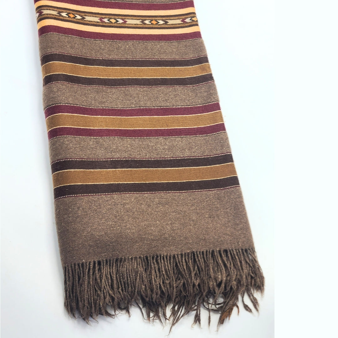 Himalayas Pasham Wool Shawl (Multi-Border)