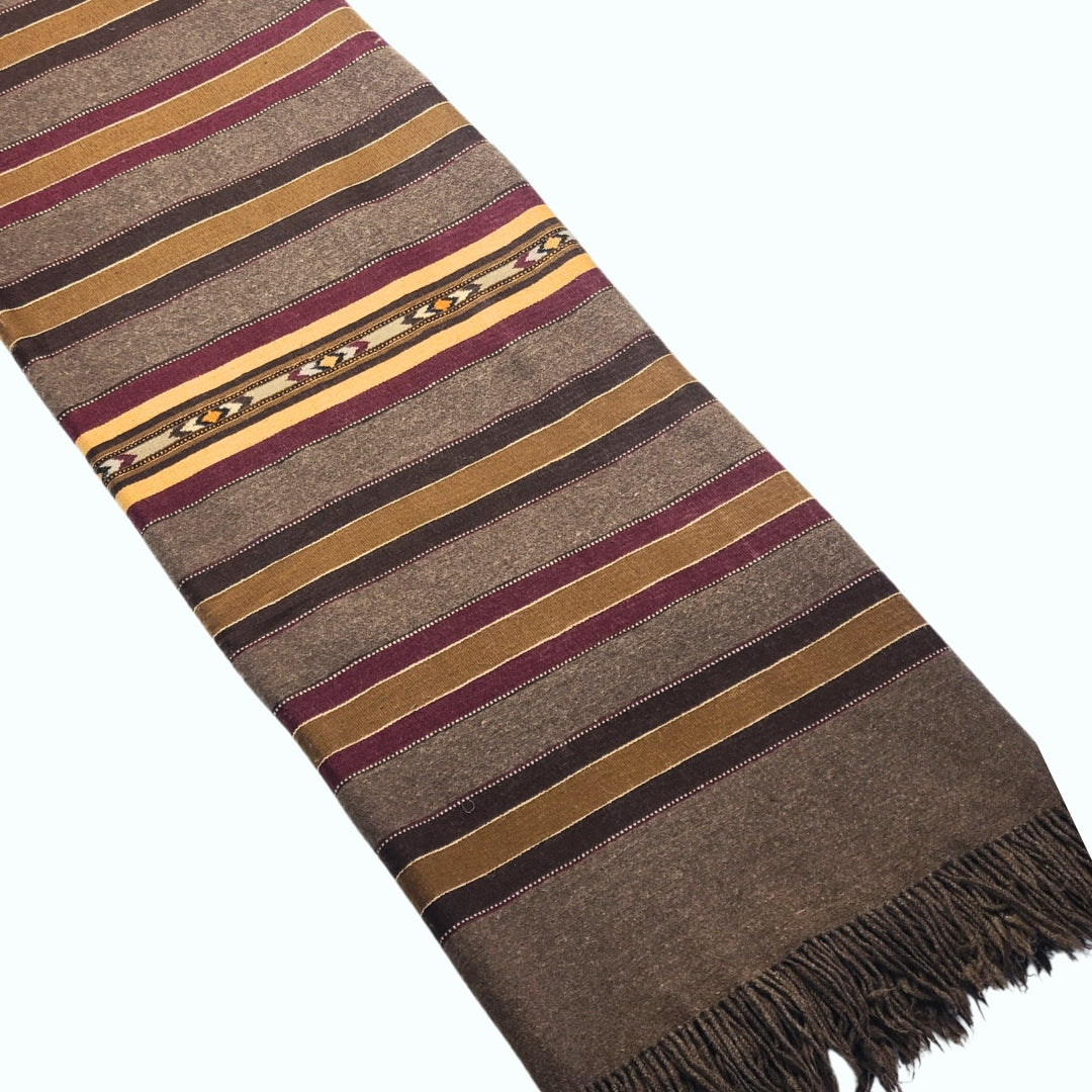 Himalayas Pasham Wool Shawl (Multi-Border)